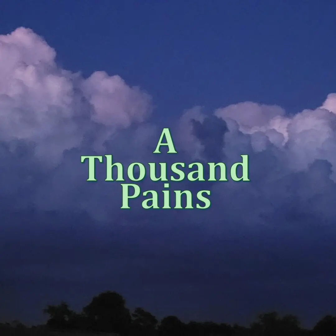 #1 A THOUSAND PAINS #1 A THOUSAND PAINS