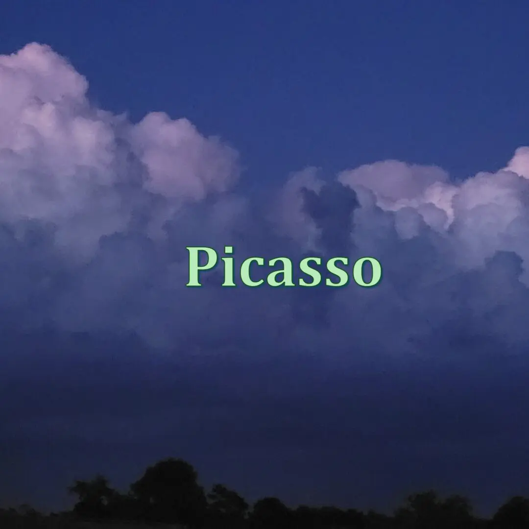 #12 PICASSO #12 PICASSO