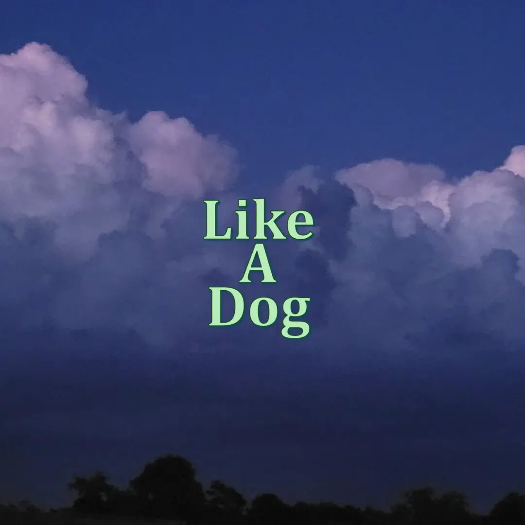 #5 TREAT YOU LIKE A DOG #5 TREAT YOU LIKE A DOG