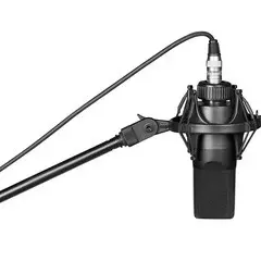MIC MIC