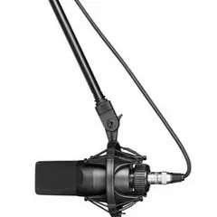 Mic 2 Mic 2